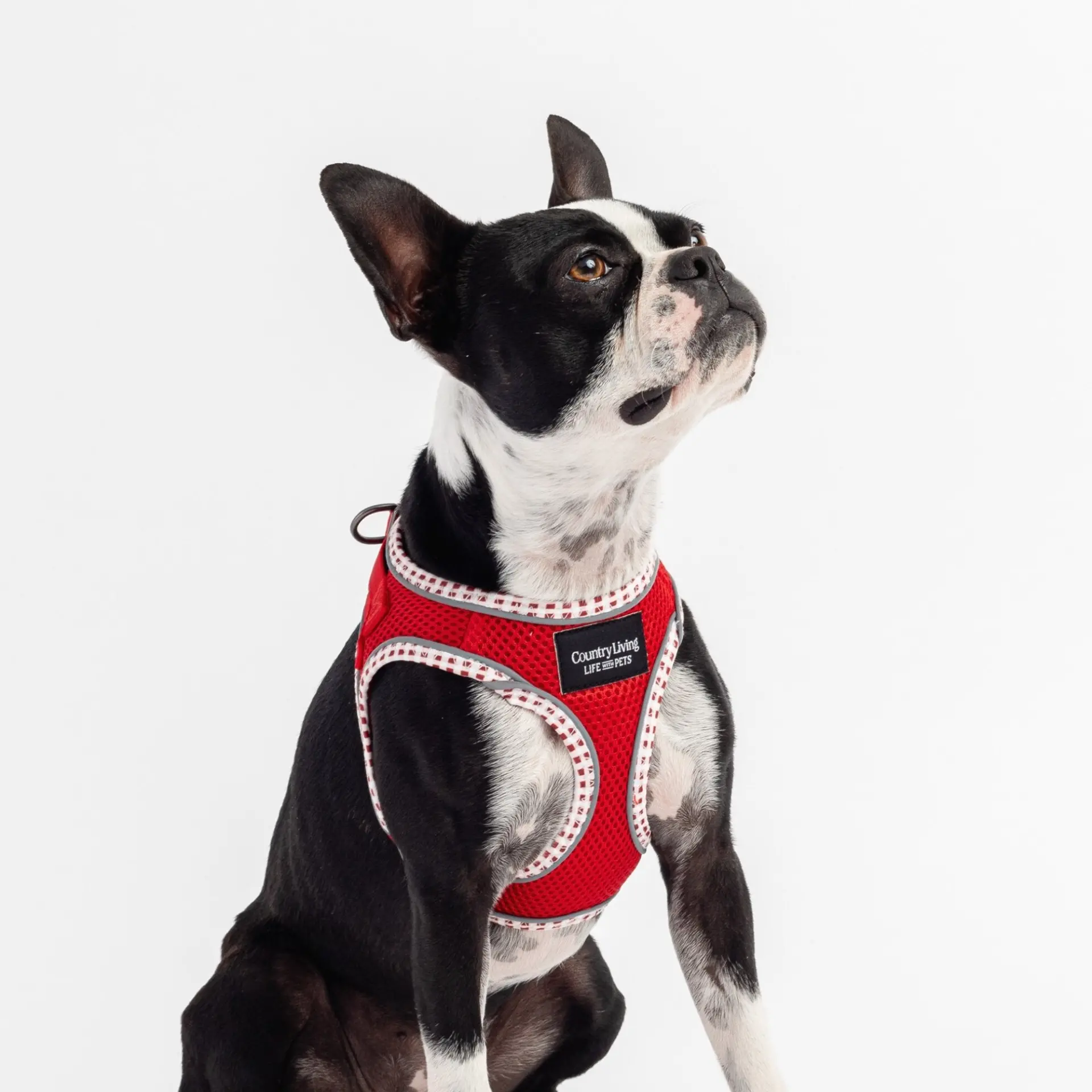 Red Step-In Dog Harness - Image 2