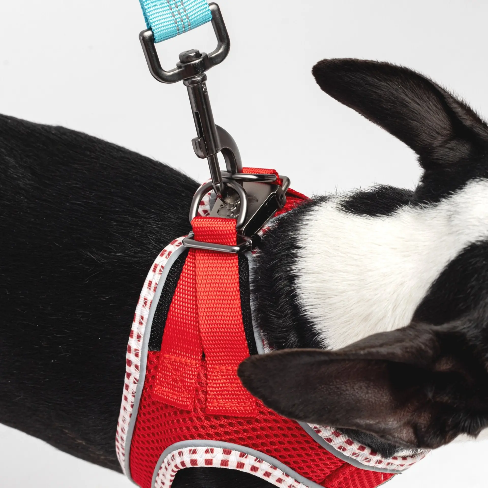 Red Step-In Dog Harness - Image 3