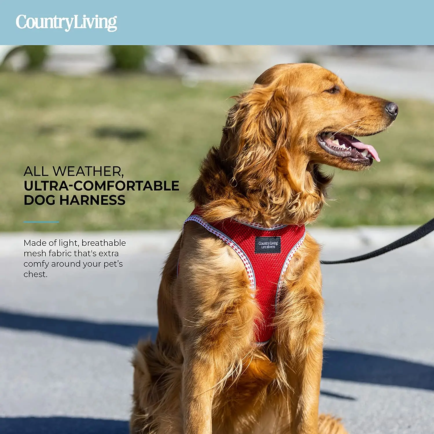 Red Step-In Dog Harness - Image 6