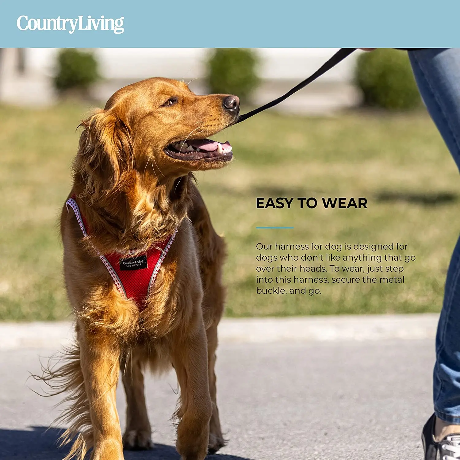 Red Step-In Dog Harness - Image 8