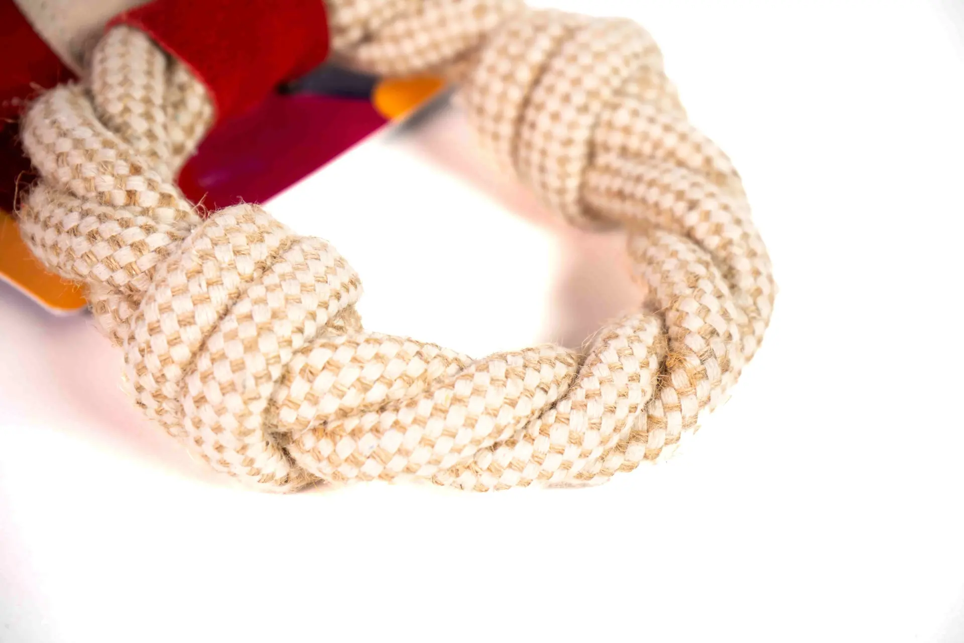 Eco-Friendly Bear & Rope Dog Toy - Image 21